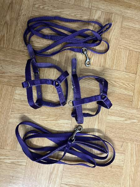 Kanin valjaat Kotka – foto 1