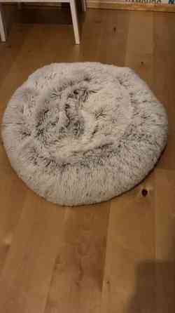 Koiran peti Seinäjoki