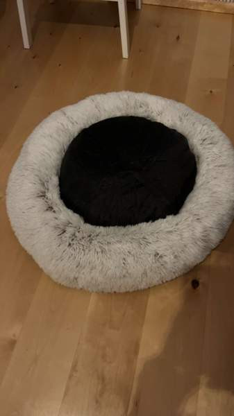 Koiran peti Seinäjoki - valokuva 2