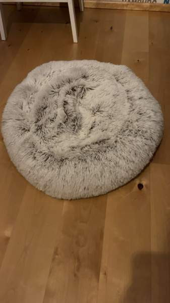 Koiran peti Seinäjoki - valokuva 1