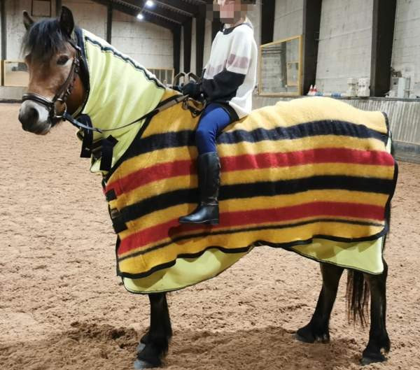 Eskadron villaloimi 125cm Jaervenpaeae – foto 2