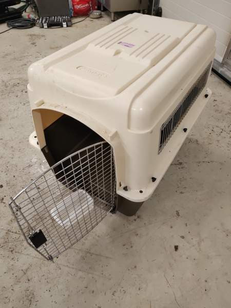 Petmate lentohäkki Orivesi - photo 3