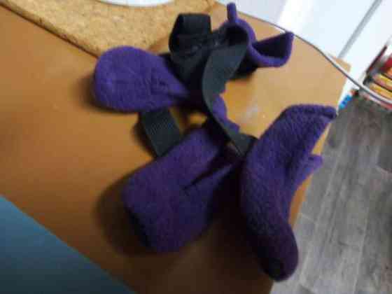 Koiran pienet töppöset Kouvola