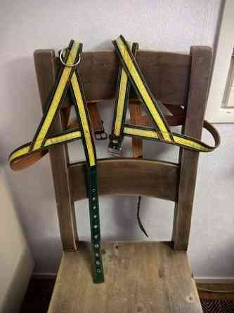 Laadukkaat koiran nailonvahvistetut nahkavaljaat Kangasniemi