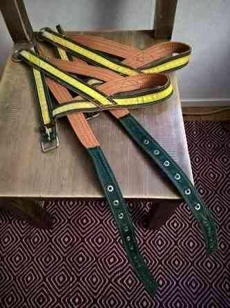 Laadukkaat koiran nailonvahvistetut nahkavaljaat Kangasniemi