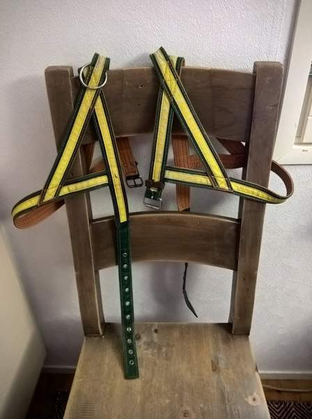 Laadukkaat koiran nailonvahvistetut nahkavaljaat Kangasniemi – foto 1