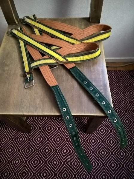 Laadukkaat koiran nailonvahvistetut nahkavaljaat Kangasniemi – foto 2