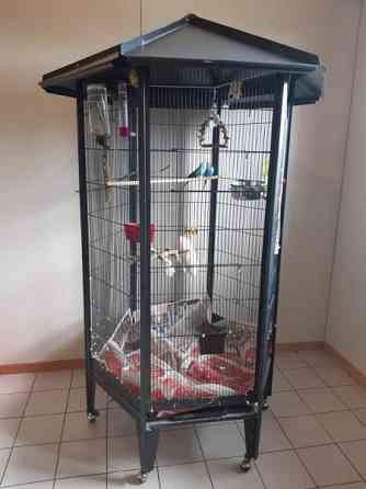 Linnunhäkki Haemeenlinna