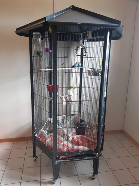 Linnunhäkki Haemeenlinna – foto 1