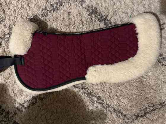 Engel naturfelle lampaankarvaromaani M Kotka