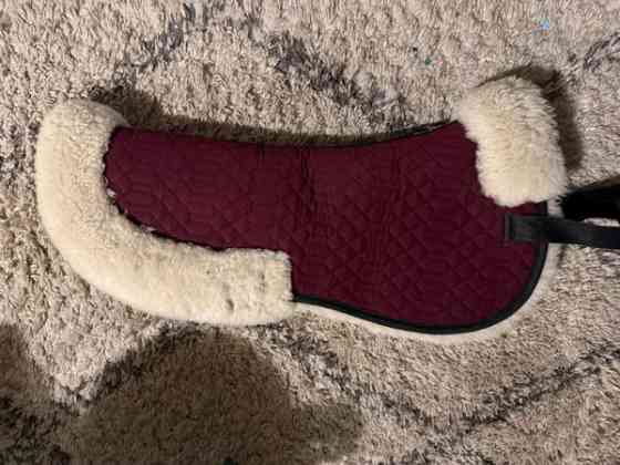 Engel naturfelle lampaankarvaromaani M Kotka