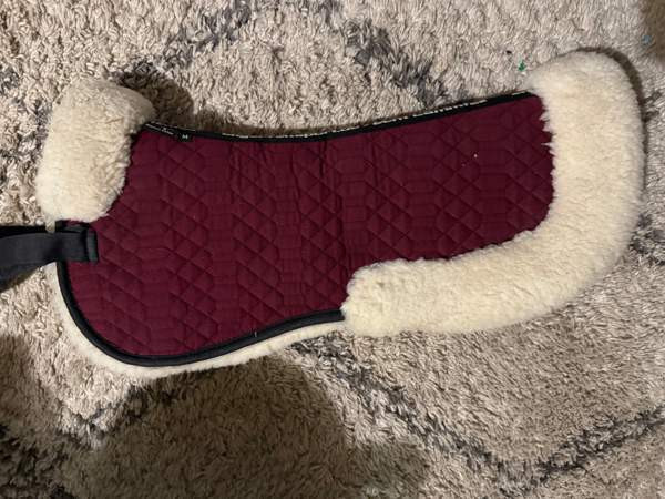 Engel naturfelle lampaankarvaromaani M Kotka - valokuva 1