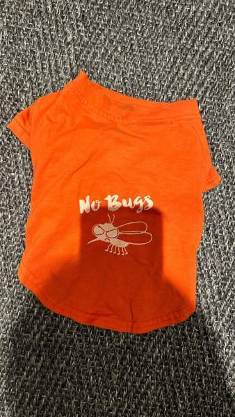 Pienen koiran paita Helsinki – foto 1