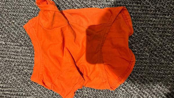 Pienen koiran paita Helsinki – foto 2