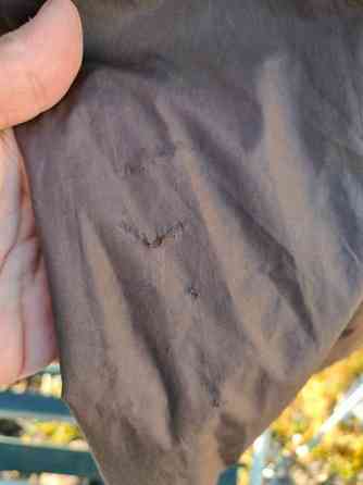 Ruskea Horze ratsastustakki välikauteen XS Sastamala