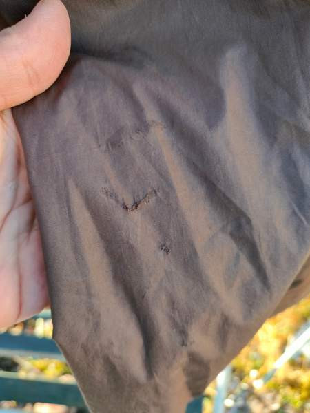 Ruskea Horze ratsastustakki välikauteen XS Sastamala - valokuva 3