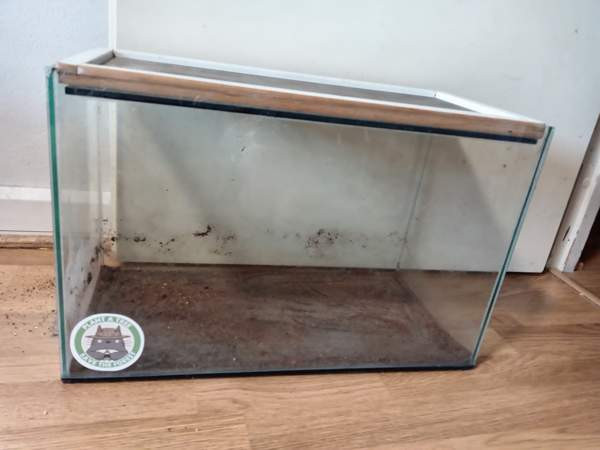 Terraario lasillinen 50×25×30 Espoo – foto 1