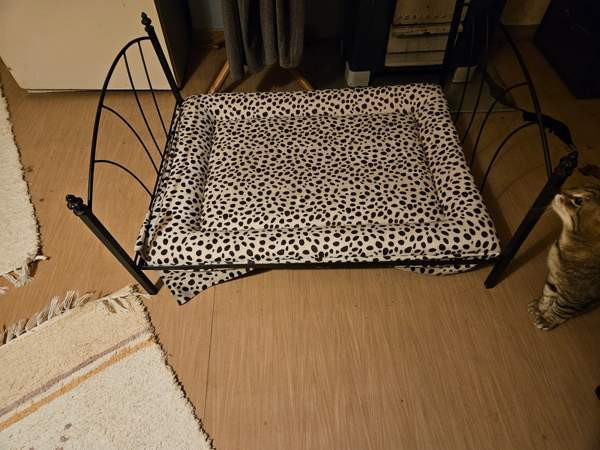 Lemmikin sänky Helsinki - valokuva 1