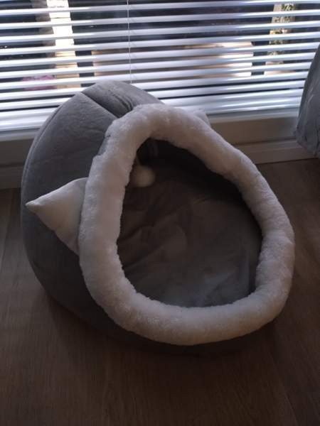 Kissanpesä 40x40 cm Espoo - valokuva 3