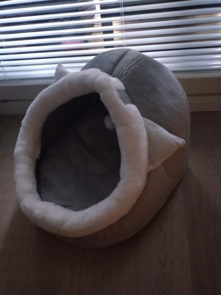 Kissanpesä 40x40 cm Espoo - valokuva 1