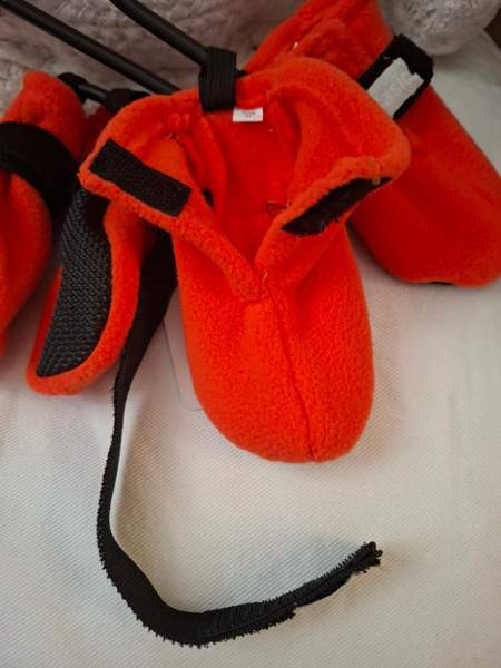 Tossut koiralle, uudet M-koko. Пори - изображение 1