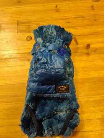 Koiran takki Силинъярви