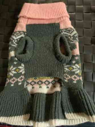 Pikkukoiran neulemekko Oulu