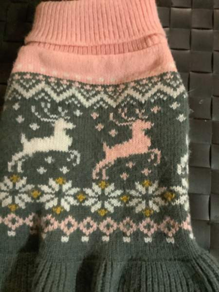 Pikkukoiran neulemekko Oulu - valokuva 1