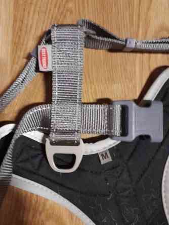 Koiran valjaat bestfrend Helsinki