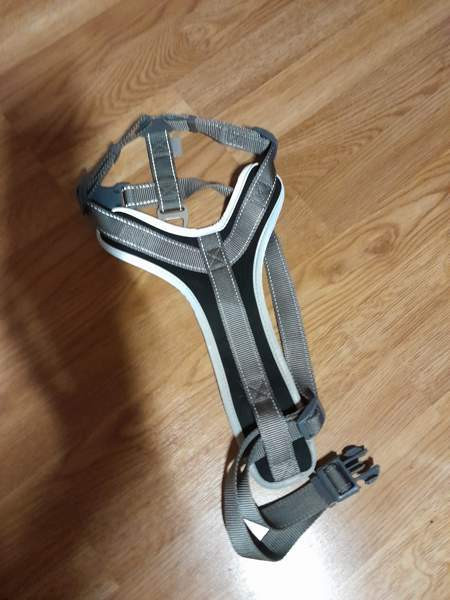 Koiran valjaat bestfrend Helsinki - valokuva 1