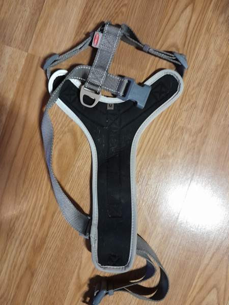 Koiran valjaat bestfrend Helsinki - valokuva 3