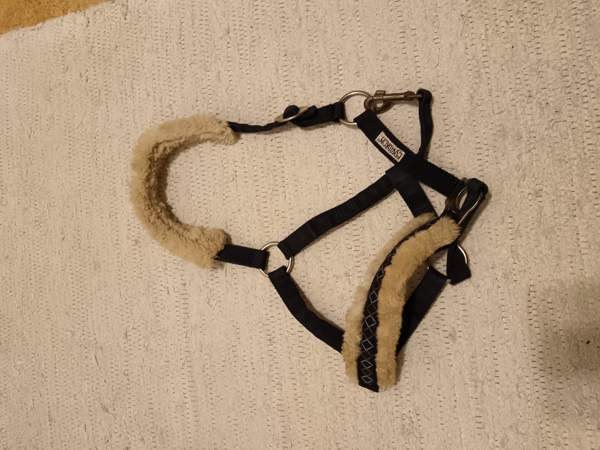 Riimu Forssa - valokuva 1