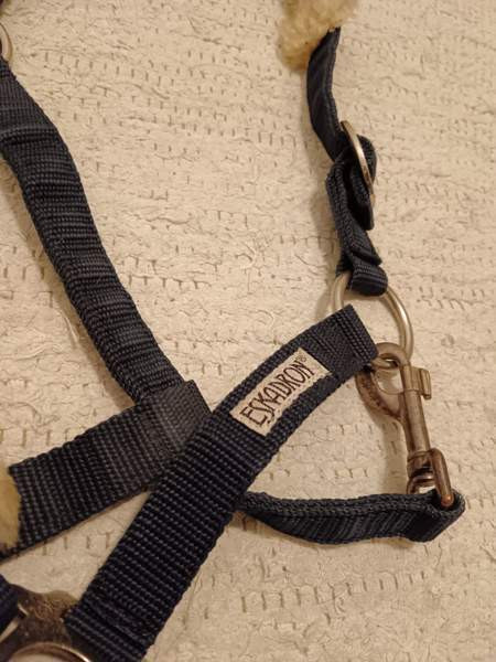 Riimu Forssa - valokuva 2