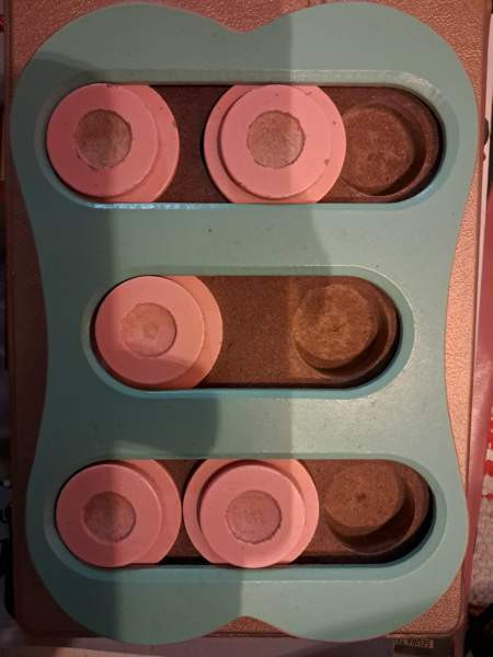 Aktivointilelu koiralle Куопио - изображение 1