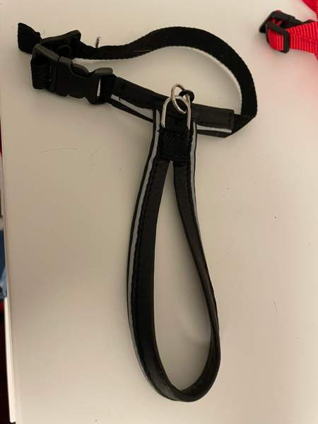 Flexi, furminaattori, kissojen turvavyöt, valjaat, ruokakippoja Espoo - valokuva 2