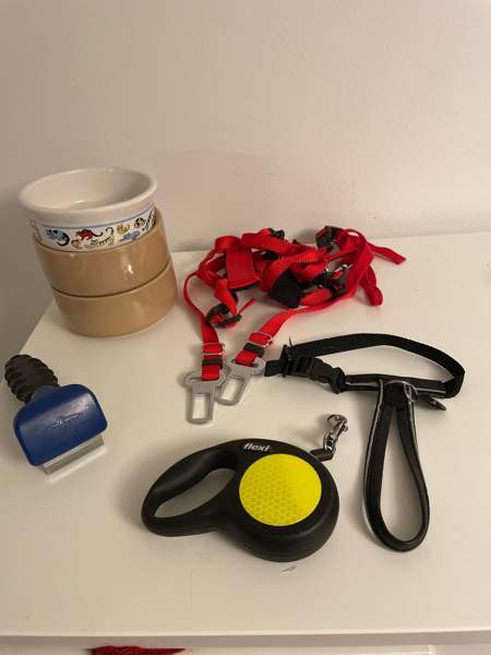 Flexi, furminaattori, kissojen turvavyöt, valjaat, ruokakippoja Espoo - valokuva 1