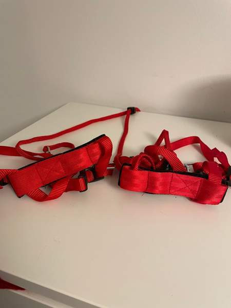 Flexi, furminaattori, kissojen turvavyöt, valjaat, ruokakippoja Espoo - valokuva 5