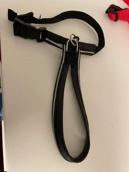 Flexi, furminaattori, kissojen turvavyöt, valjaat, ruokakippoja Espoo - valokuva 7