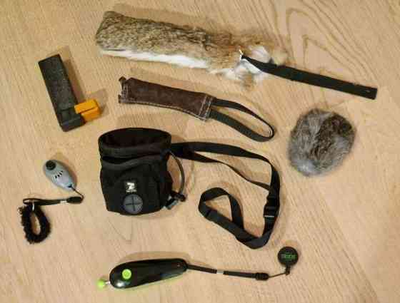 Koiran kouluttajan salaiset aseet Jaervenpaeae