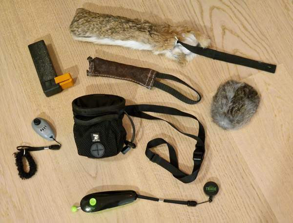 Koiran kouluttajan salaiset aseet Ярвенпяя - изображение 1