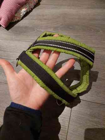 Koiran valjas Vantaa