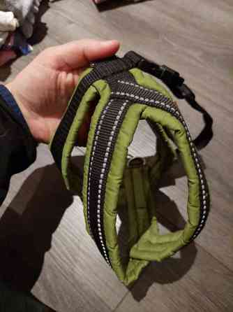 Koiran valjas Vantaa