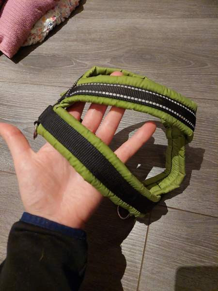 Koiran valjas Vantaa - valokuva 2