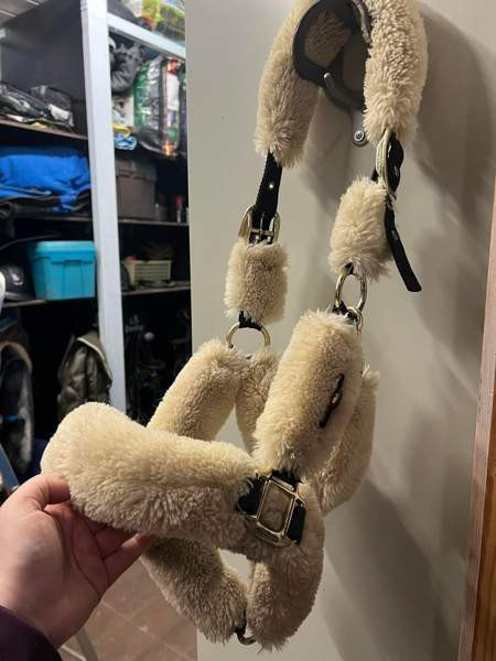 Hevostavaraa Kuopio - valokuva 7