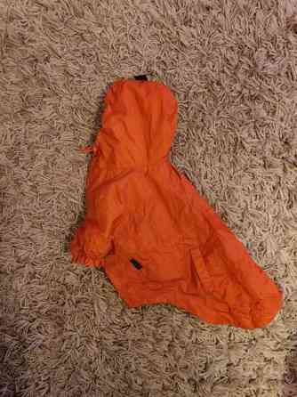 Puppia, koiran sadetakki, oranssi Jaervenpaeae