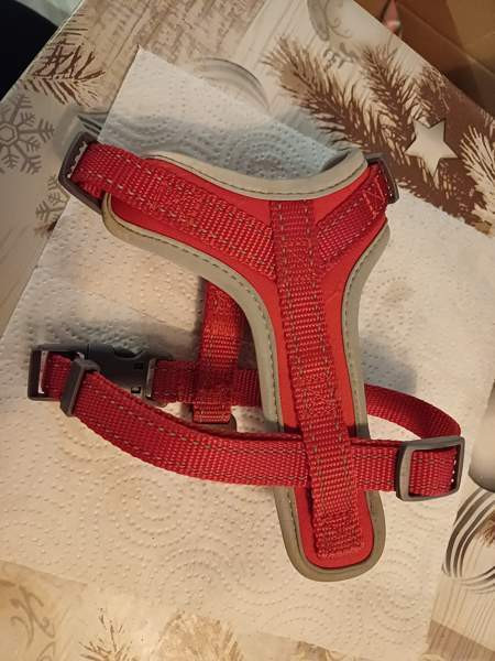 Bestfriend valjaat xs Kannonkoski - valokuva 2