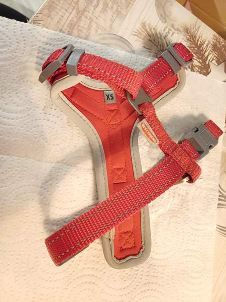 Bestfriend valjaat xs Kannonkoski - valokuva 1