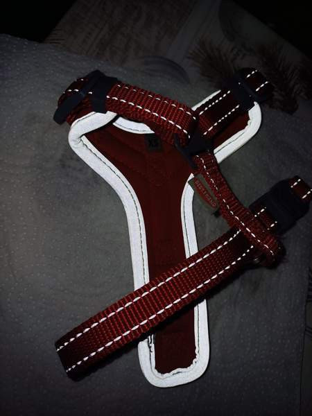 Bestfriend valjaat xs Kannonkoski - valokuva 4