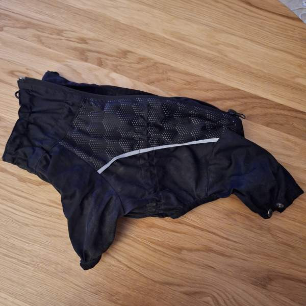 Feelactive sadehaalari, 25 Lappeenranta - valokuva 1