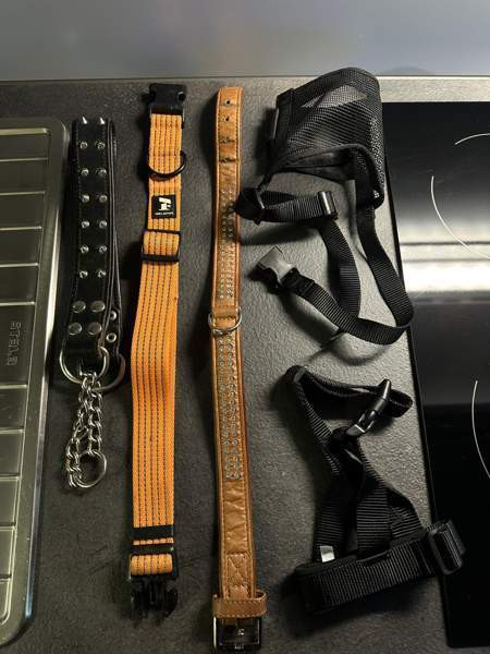 Kaulapantoja Turku - valokuva 1